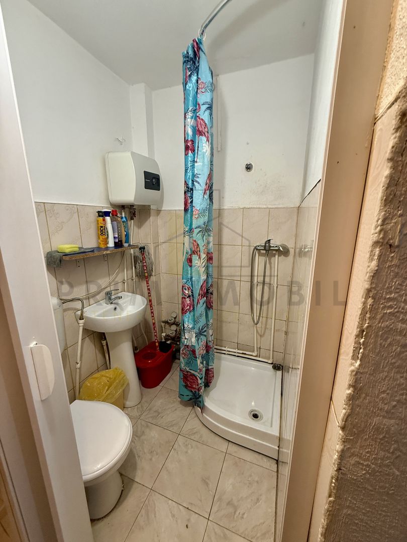 Garsoniera, Kaufland Nicolina, Inita - Poză 6