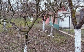 OFERTĂ in Băcia, Hunedoara ! Proprietate 2 case + Cabană + Livadă - Poză 27