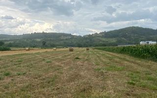 Teren Intravilan | 10.012 mp | Nușfalău | Sălaj - Poză 2