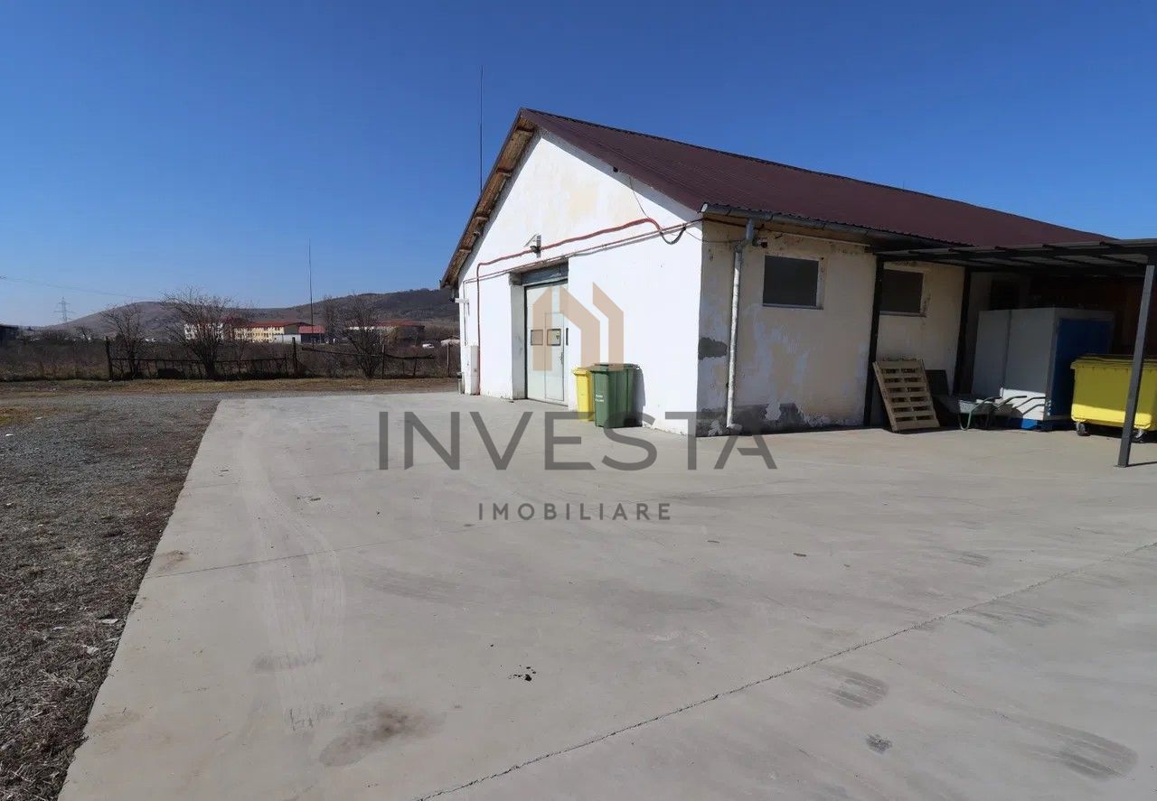 Oportunitate de investitie/Teren si hala - Poză 3