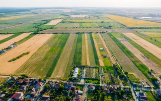 Teren de 10.000 mp situat în Bujac, Arad - Poză 4