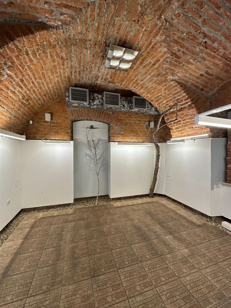 Spatiu comercial în Piața Unirii - 155 mp - Poză 16