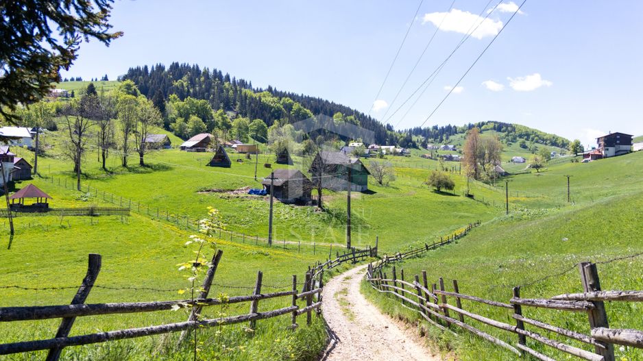 Fundata | Teren de vanzare | 7,656 mp + Cabane tip A Frame - Poză 4