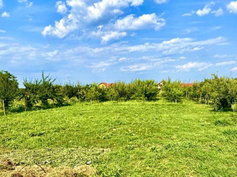 Casa la roșu în Izvin - Poză 4