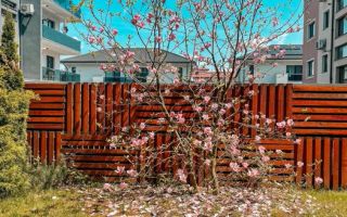 Apartament 2 camere cu grădină proprie | Parcare inclusă | Bună Ziua - Poză 8