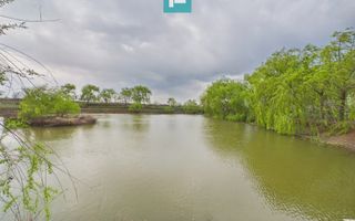 Teren 1 ha cu baltă populată – Alioș (Mașloc) - Poză 1