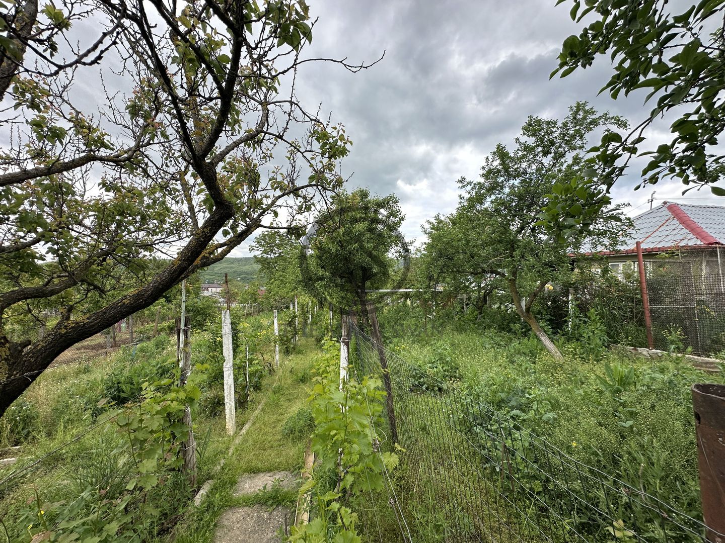Casa cu 5 camere de vanzare  | Urlati, Prahova | Comision 0% - Poză 30