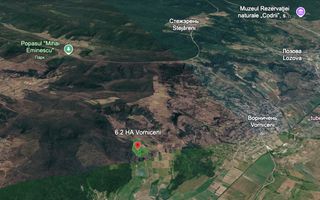 Teren de 6.2 Hectare cu Iaz propriu, lângă pădure – Vorniceni, Strășeni! - Poză 4