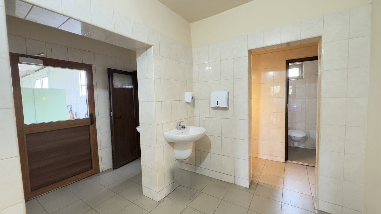 Inchiriere Clădire Producție, Depozitare, Birouri-Teren 3140 mp - Carei - Poză 8