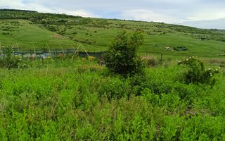 Teren Dorobant 1212mp - Poză 4