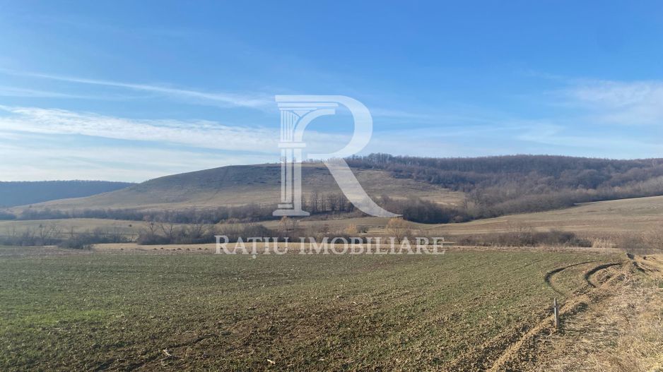 Teren extravilan de vanzare 3.900mp | Mierlau | Bihor - Poză 1