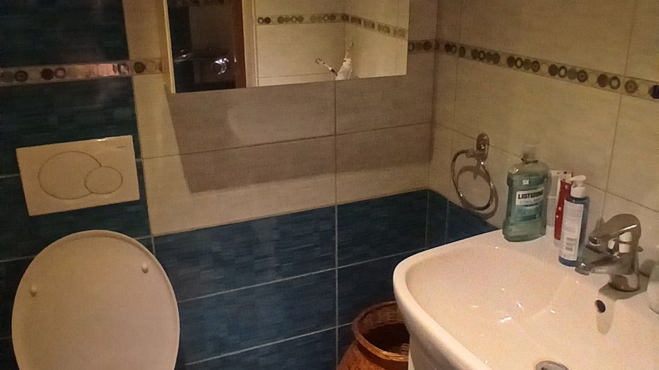 Casă individuală de vânzare în Șura Mare – ideală pentru 2-3 familii - Poză 19