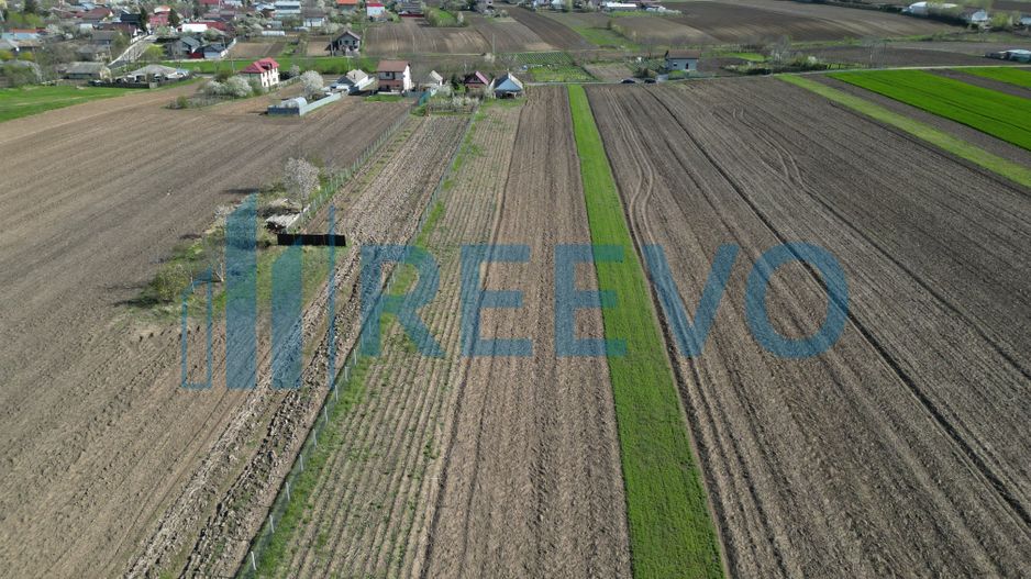 Teren de vânzare, Com. Nicolae Bălcescu, Jud. Bacău - Poză 12