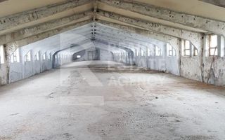 Vânzare fermă, 10,48 ha, comuna Petreni, Drochia - Poză 5