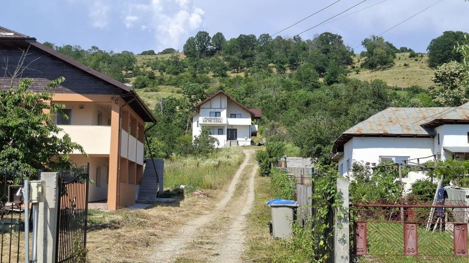 Casă-Pensiune Agroturistica spatioasa P+M Budeasa cu vedere la lac - Poză 7
