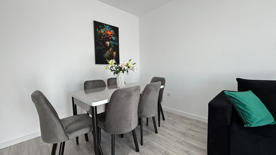 Apartament 2 camere deosebit in zona Doamna Stanca, Dedeman - Poză 13