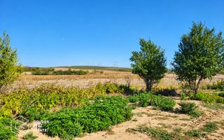Teren intravilan, 7100 mp, Lipova - Poză 5