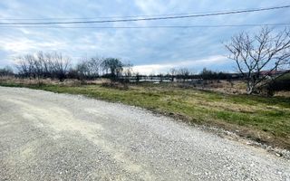 Teren Intravilan cu Front Dublu în Paleu - Poză 1