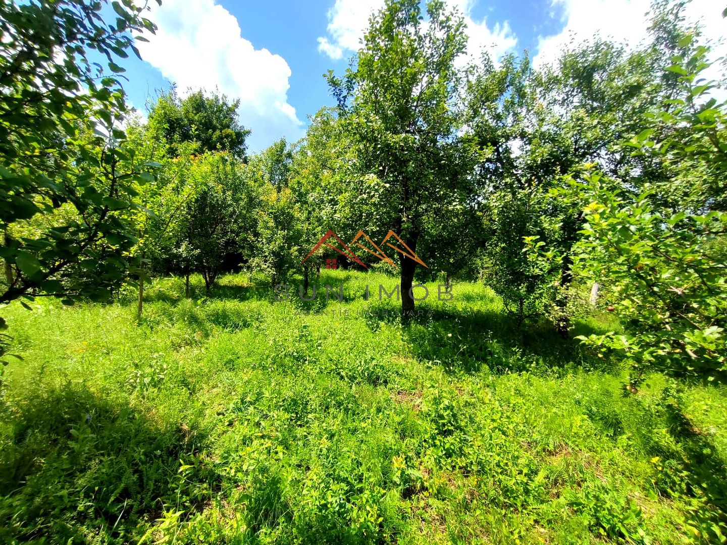 CASĂ INDIVIDUALĂ CU LIVADĂ | 2.195 MP TEREN | POIANA CÂMPINA - Poză 20