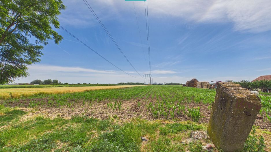 Teren extravilan în suprafață de 10.000 mp, Arad - Poză 9