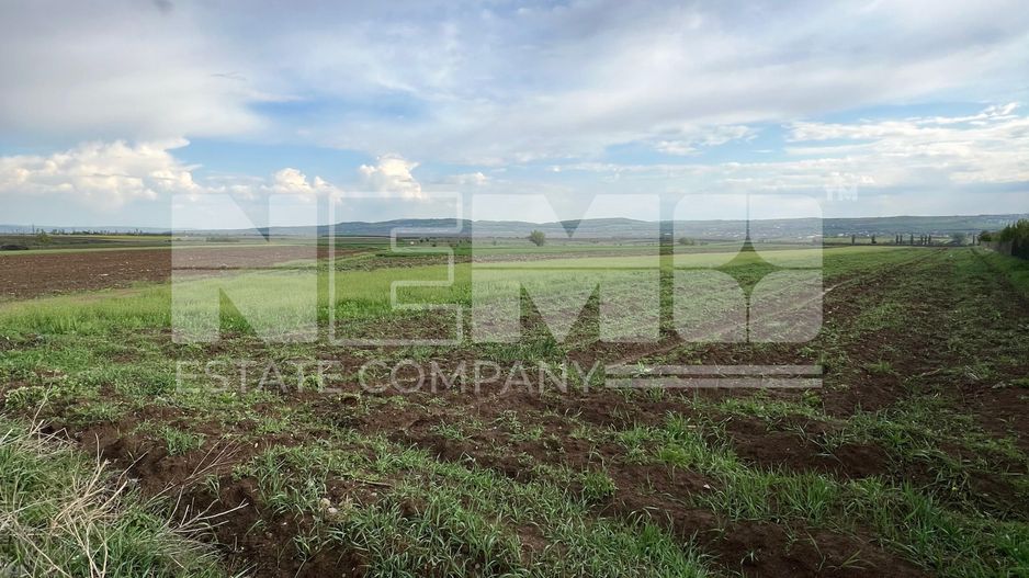 🌟 Teren de Vânzare 20 Ari | Salcea, Suceava | 💥 Preț: €30.000 - Poză 2