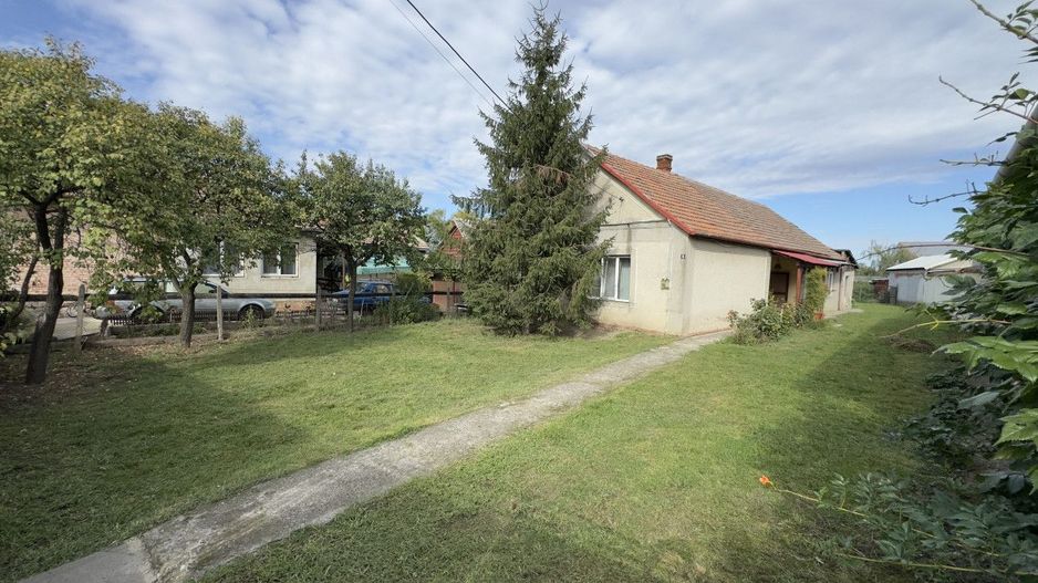 Casă 3 camere, Teren 3.263 mp, Str.Mărășești Nr.16 -Carei-Comision 0% cumpărător - Poză 2