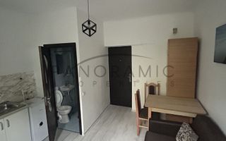 Investitie la cheie 13 mp, Gruia - Poză 4