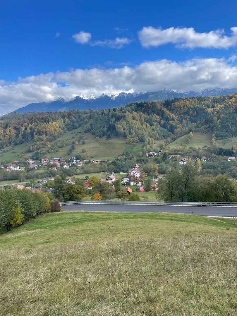 Teren extravilan cu priveliste catre Bucegi – Moieciu de Jos 4.700 mp - Poză 7