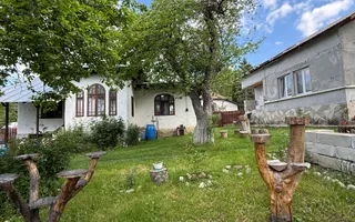 2 Case + teren 1390 mp langa parcul central Provita de Sus - Poză 21