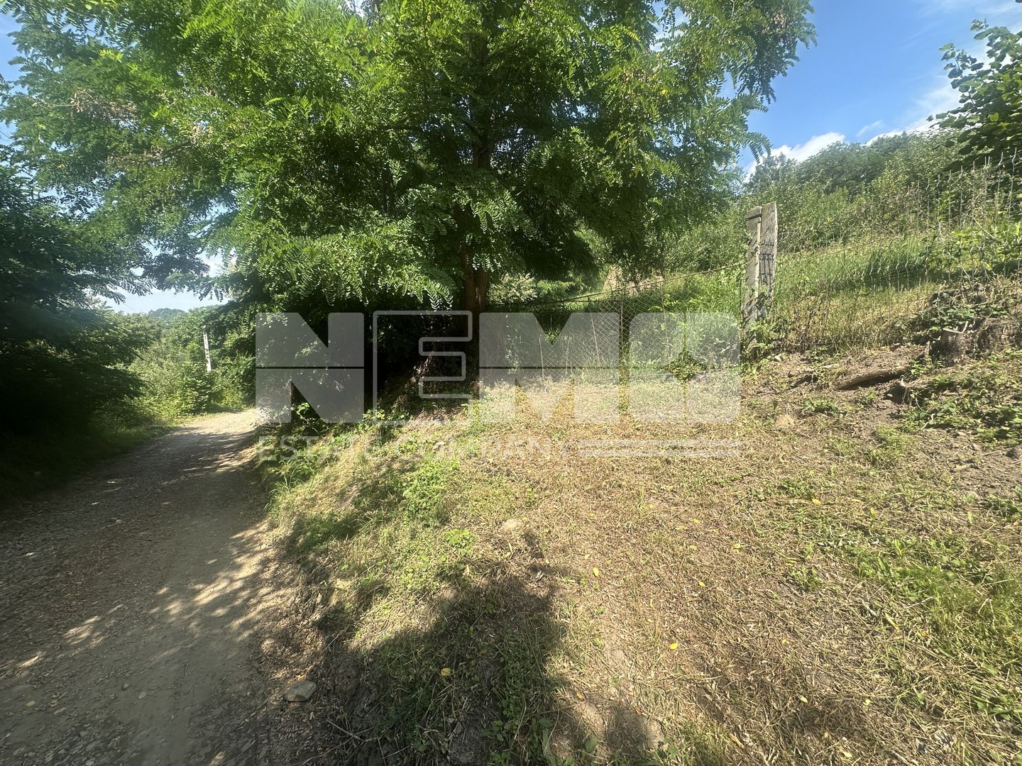 Teren Darmanesti | 41 Ari | 26.500EURO - Poză 1