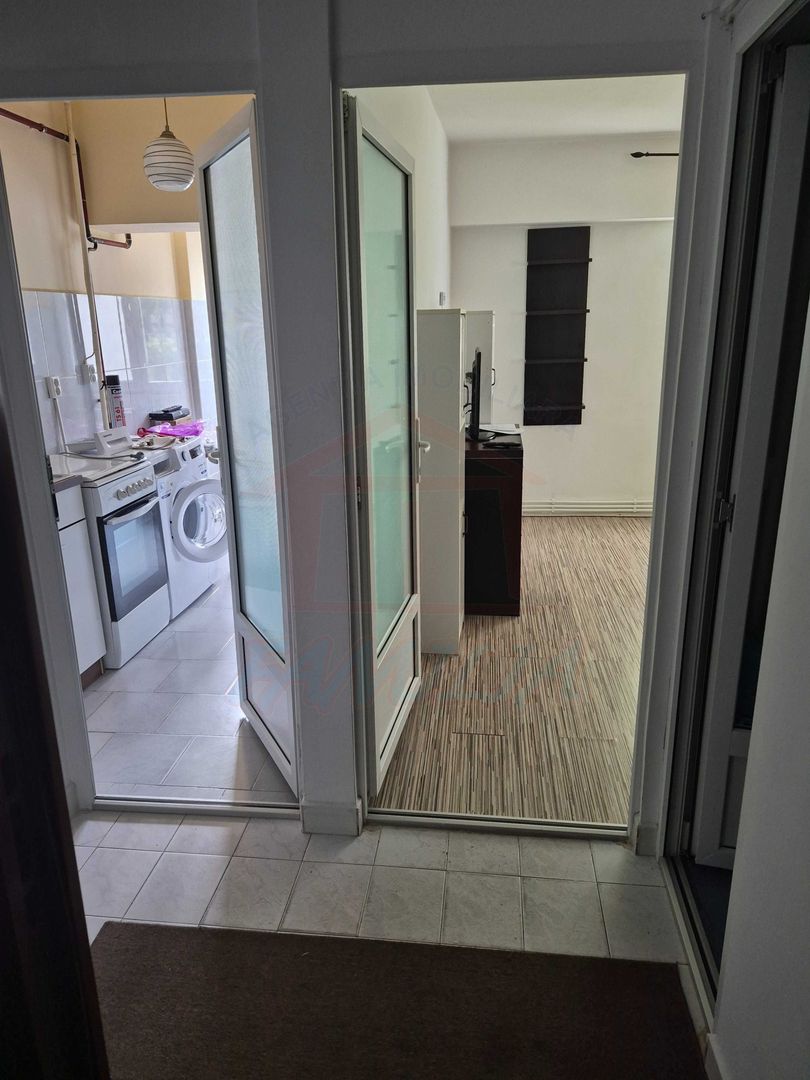 SE INCHIRIAZA APARTAMENT 1 CAMERA, MAZEPA 1, 250 EURO - Poză 6