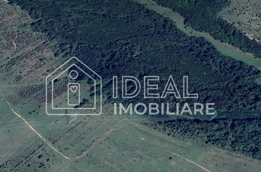 Pădure matură 12,71 ha - Mag, jud. Sibiu - potențial exploatare 2025 - Poză 1