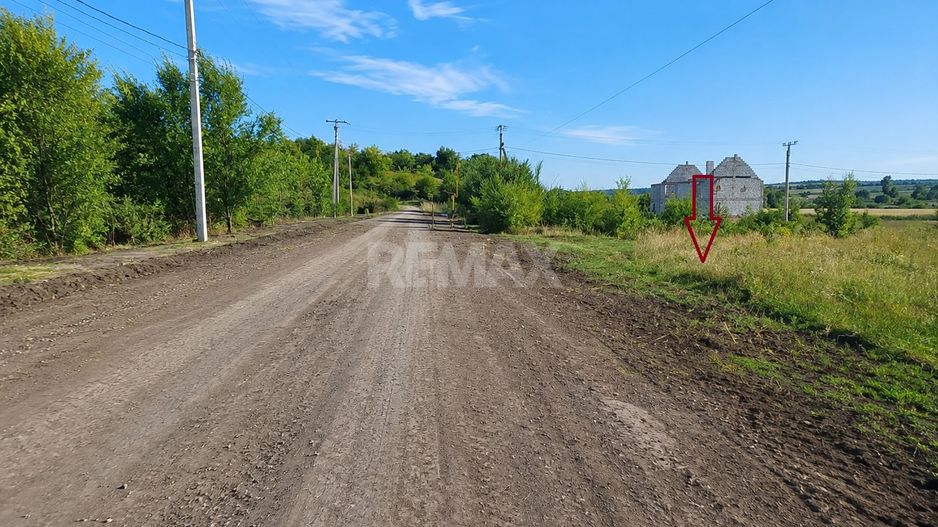 TEREN PENTRU CONSTRUCȚIE – 8 ARI | ȚÎNȚĂRENI, ANENII NOI - Poză 2