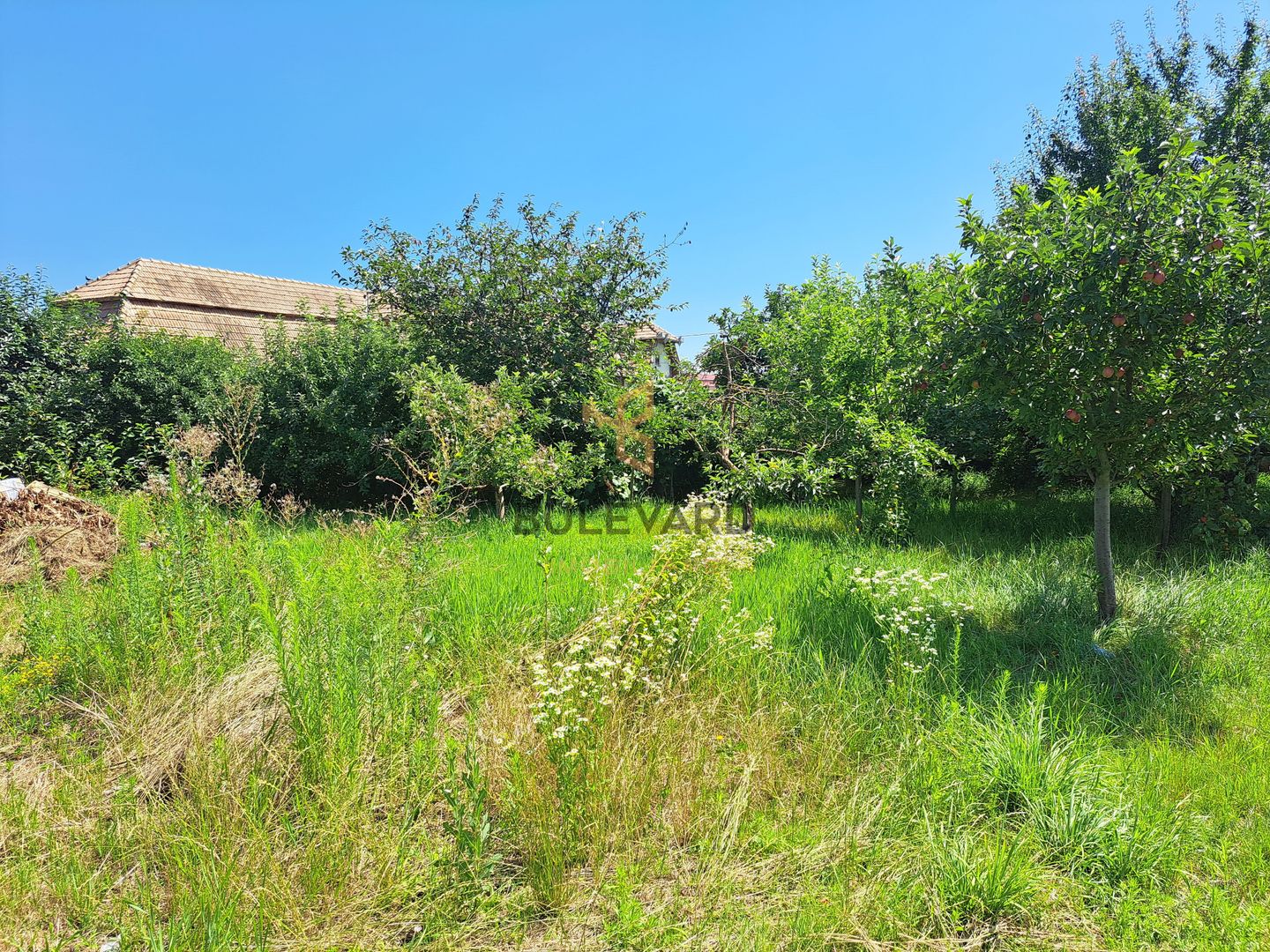 Comision 0! Casa individuala, teren 2363 mp, cartier Poiana! - Poză 10