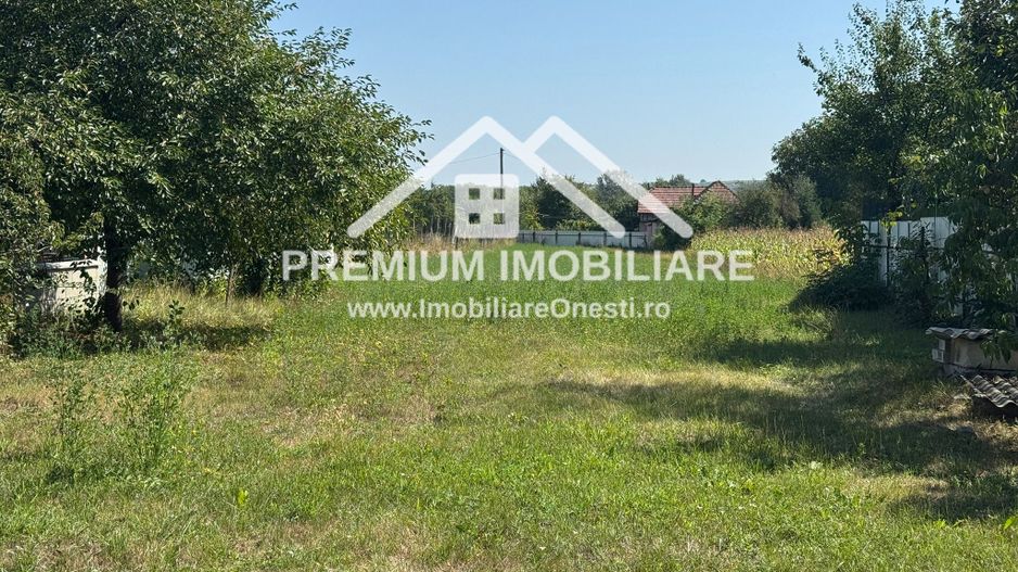 Casa de vanzare in Bogdanesti - Poză 6