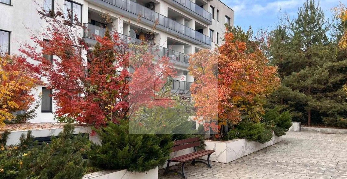 Studio Premium Erou Iancu Nicolae Pipera - Poză 11