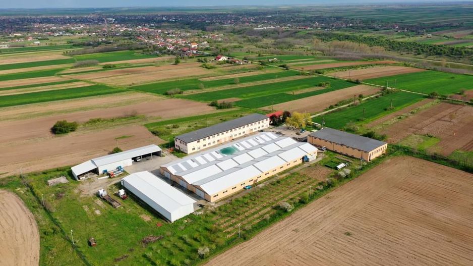 HALE INDUSTRIALE & PLATFORME BETONATE & TEREN INTRAVILAN 23500MP CRAIOVA - Poză 8