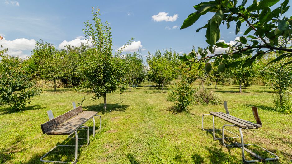 Casă de vânzare Tâncăbești cu grădină, aproape de lac - Poză 28