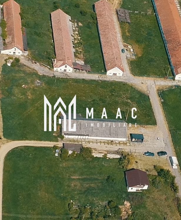 Hale disponibile 1400 mp I Teren 6000 mp I Utilități I Apoldu - Poză 1