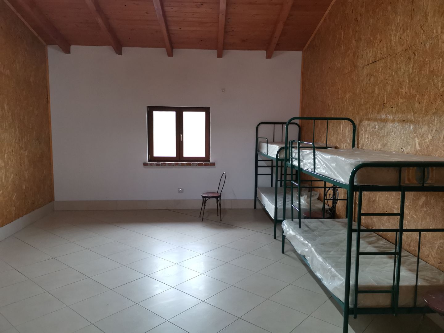 Ferma pomicola cu teren livada 270 ha - Timis - Poză 18