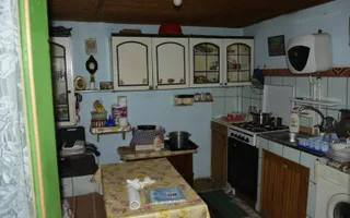 CASĂ TRADIȚIONALĂ CU GRĂDINĂ GENEROASĂ ȘI VIE – ISACCEA, JUD. TULCEA - Poză 12