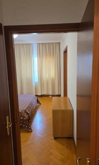 Ap 3 camere Primaverii vedere Herastrau - Poză 10