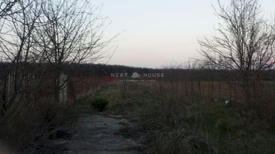 Casa Vacanta Izvorani - Poză 4