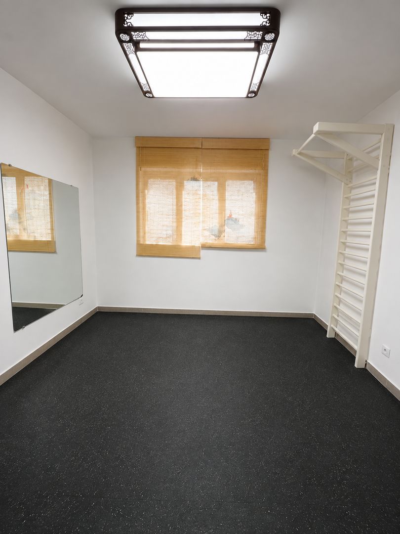 Vila 3 apartamente / 9 camere  Piata Unriii - Parcul Carol IM603 - Poză 7