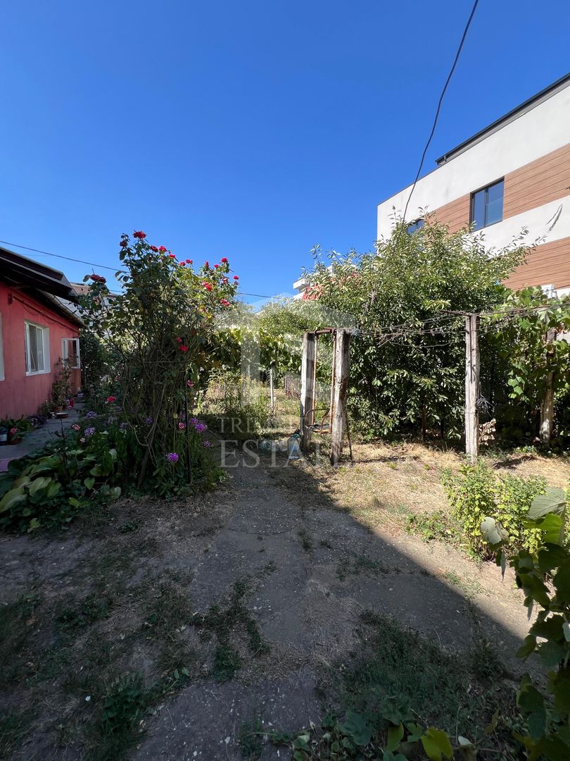 Teren str Renasterii Chitila - Poză 5