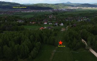 Teren intravilan 5.261 mp Tohănița | Deschidere 49 m | Utilități, lângă pădure - Poză 3
