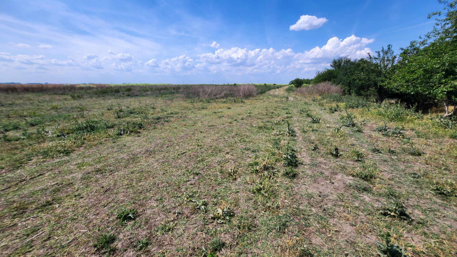 Teren intravilan -Jimbolia zona Kikindei - Poză 31