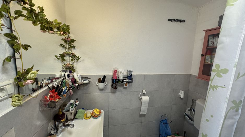 Casa individuala in Arpasu de Sus, teren mare, partial renovata - Poză 16