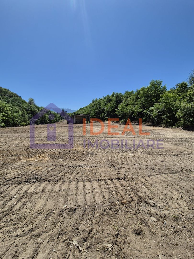 Teren intravilan 18.259 mp + construcție industrială, Mârșa - Poză 1