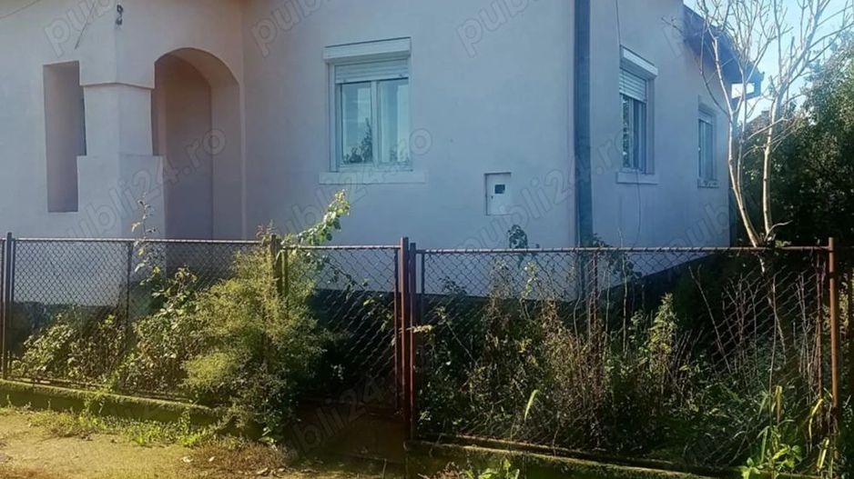 Vand casa la tara - Poză 2